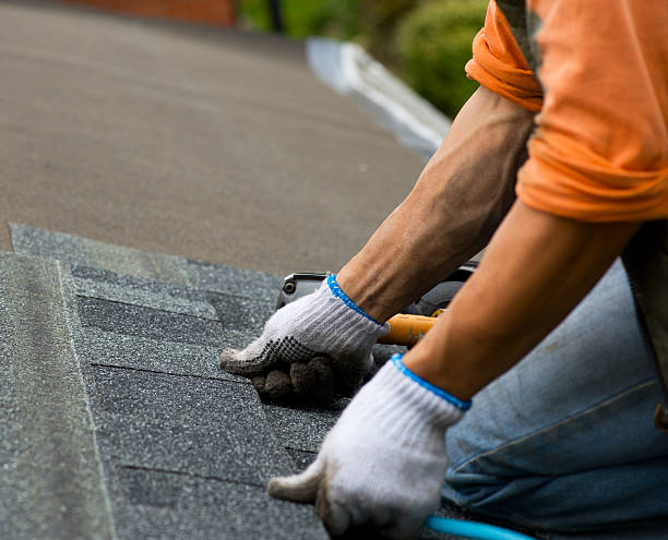 Best Residential Roofing Contractor  in Braddock, PA